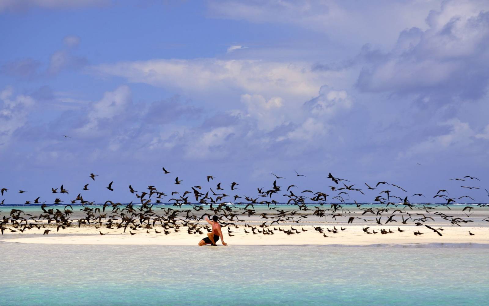 En bateau près de l'île aux Oiseaux