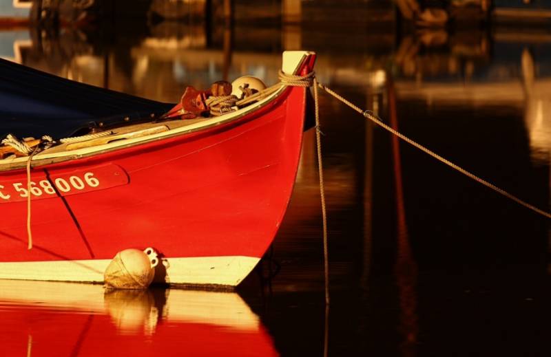 Les bateaux du bassin d' Arcachon